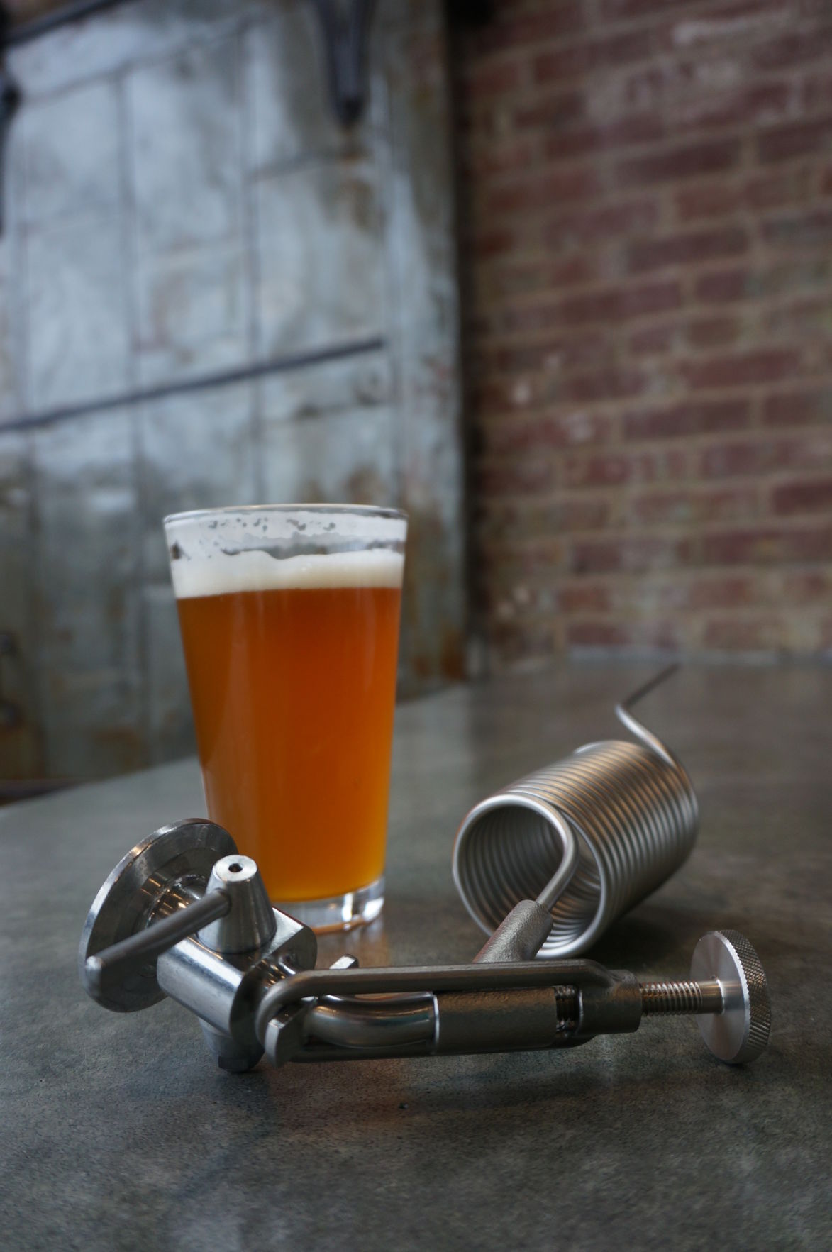 Zwickel Lager at Hunter-Gatherer Brewery